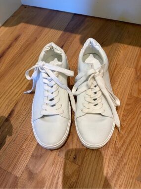Steve Madden Classic White Low-Top Sneakers